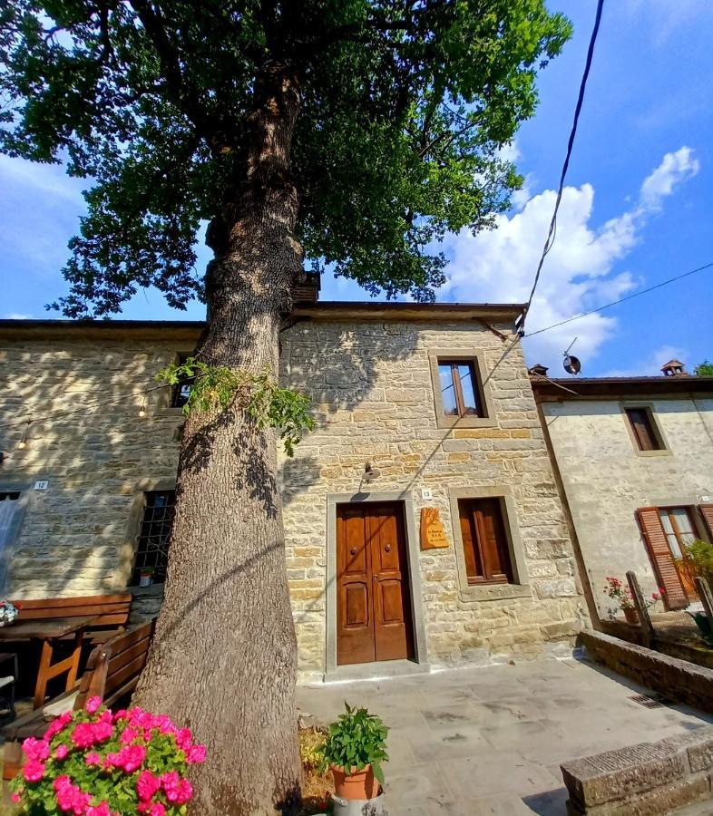 Apartmán Casina La Quercia Santa Sofia Exteriér fotografie