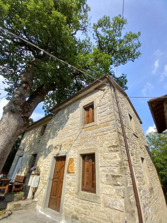 Apartmán Casina La Quercia Santa Sofia Exteriér fotografie